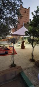 two trees in a courtyard with a white umbrella at Riad Khadija: Relax & Explore in Taroudant