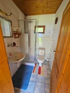 een badkamer met een toilet, een douche en een wastafel bij Stateček plný zvířátek 