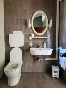 bagno con servizi igienici, lavandino e specchio di Sentirsi a casa a Chiampo