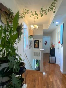 a living room with a potted plant at Dayton Dream in Newark