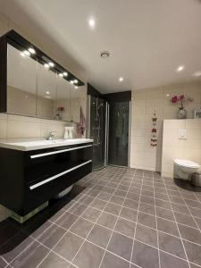 a bathroom with a sink and a shower and a toilet at 84m2 3 sleeping rooms which direct traffic to airport and city center in Bergen