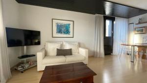 Televiisor ja/või meelelahutuskeskus majutusasutuses Bel appartement de 2 chambres avec magnifique vue à Crans-Montana