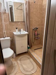 La salle de bains est pourvue de toilettes, d'un lavabo et d'une douche. dans l'établissement Romantic and cozy apartment with amazing view, à Arad