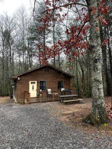 a small cabin in the woods with a tree at Private cozy cabin in the woods with great view in Murphy