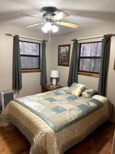 a bedroom with a bed and a ceiling fan at Private cozy cabin in the woods with great view in Murphy