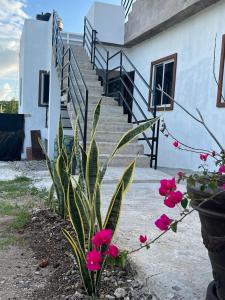 uma escada com flores cor-de-rosa em frente a um edifício em SerenitHe em Negril