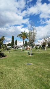 un parco con palme e edifici sullo sfondo di ATLANTERRA PUEBLO a Zahara de los Atunes
