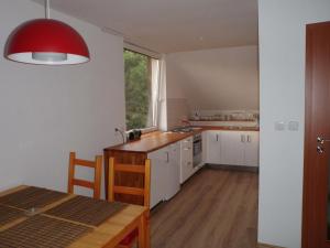 Köök või kööginurk majutusasutuses Apartmány Blata