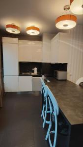 Cuina o zona de cuina de Quiet 1BDRM with FREE and secured Garage in Iztok