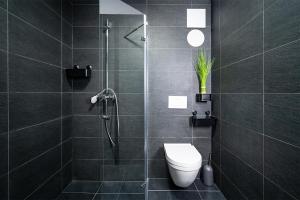 ein Bad mit einer Dusche und einem WC. in der Unterkunft Blauer Stein Apartments Doppelzimmer 1 in Pulheim