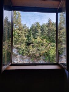 een raam in een kamer met uitzicht op een bos bij Room&Breakfast Al Canyon in Fondo