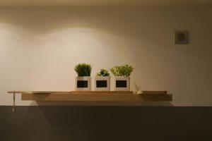 two potted plants sitting on a wooden shelf at La Cosy Green Suite in Colombelles
