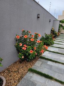 Zahrada ubytování Flats Ipê