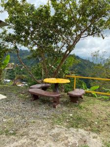 une table de pique-nique et un banc devant un arbre dans l'établissement Cabaña Niraj, à Cartago
