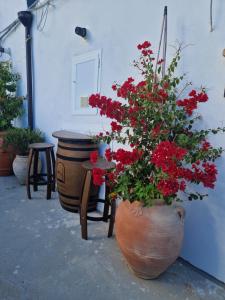 un grand vase rempli de fleurs rouges à côté d'une table dans l'établissement Mary wine house, à Pisticci