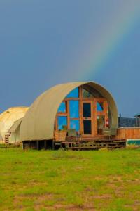 a domed building in a field with green grass at Little Amanya Camp in Amboseli
