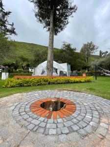 a fire pit in a park with a tree at Hosteria Totoral in Ibarra