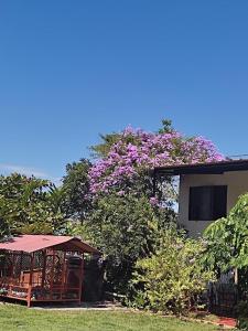a house with a tree with purple flowers at CASA DE CAMPO LA VICTORIA in Rivera