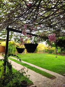 un jardín con dos macetas colgando de un árbol en CASA DE CAMPO LA VICTORIA en Rivera