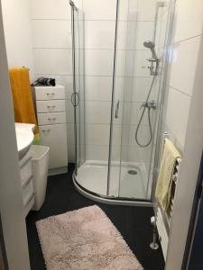 a bathroom with a shower and a toilet and a sink at Haus Lisa 