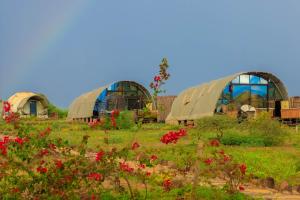 Een tuin van Little Amanya Camp