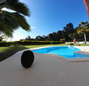 una piscina con un objeto negro al lado en Le Tiki Rouge, en Punaauia