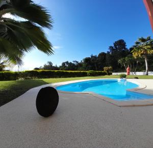 a swimming pool with a black object next to it at Le Tiki Rouge in Punaauia