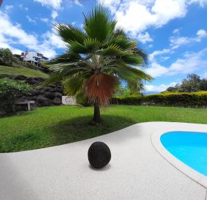 a palm tree sitting next to a swimming pool at Le Tiki Rouge in Punaauia