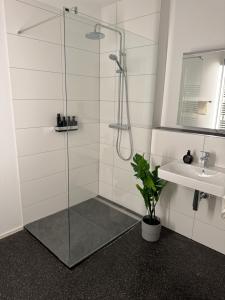 um chuveiro com uma porta de vidro ao lado de um lavatório em Isaak Appartment Stadtjuwel em Waldshut-Tiengen