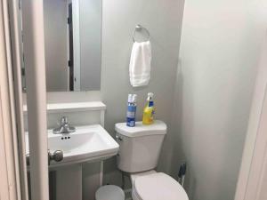 a bathroom with a white toilet and a sink at Townhouse, 2 bdrm, 2.5 bthrm, 2 qn bds/2 levls in Greenbelt