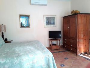 TV a/nebo společenská místnost v ubytování Casa Gatos Suites