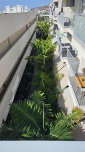 une vue sur les palmiers d'un bâtiment dans l'établissement El Tesoro, beautiful, two bedrooms tenerife sur, à Adeje