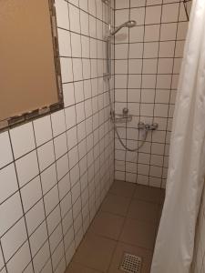 La salle de bains est pourvue d'une douche carrelée avec rideau de douche. dans l'établissement Turmvilla Mörlunda, à Mörlunda
