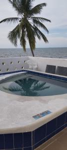 - une piscine avec un palmier et l'océan dans l'établissement Luna del Mar, à San Silvestre