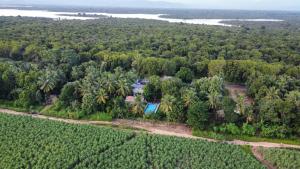 Bird's-eye view ng Walawa Reach hotel