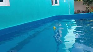 a yellow toy in the water in a swimming pool at Casa de descanso Grace in San José de Guatemala