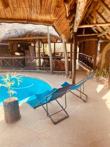 una hamaca junto a una piscina en Nyala Luxury Safari Tents, en Marloth Park