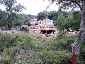 a house in the middle of a field with trees at chalet el ghaba in Ben Metir