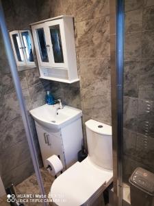 曼徹斯特的住宿－CHEADLE HOUSE HOLIDAYS，浴室设有卫生间、水槽和镜子。