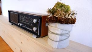 a plant in a vase next to a microwave at Casa Betulla in Valmorel