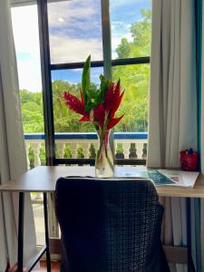 Příroda nedaleko apartmánu
