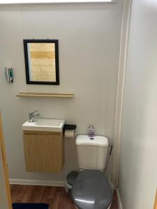 a bathroom with a toilet and a sink at Chalet des capucines in La Plaine des Palmistes