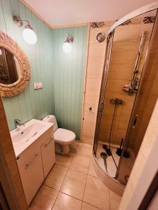 a bathroom with a shower and a toilet and a sink at Siedlisko Glinnik in Glinnik