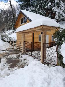 Rudnička čarolija om vinteren
