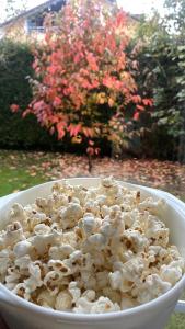a bowl of popcorn in front of a flowering bush at Villa ARDEN in Kartepe