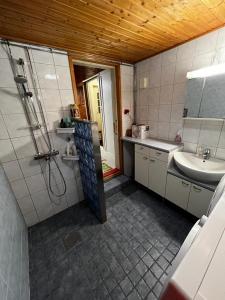 La salle de bains est pourvue d'un lavabo et d'une douche. dans l'établissement Talo-Villa- 3 mh+s - Kittilä - Levi upea keittiö, à Kittilä