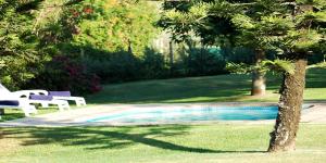 una piscina con 2 sillas blancas y un árbol en The Green Tree Cottages en Alexandria