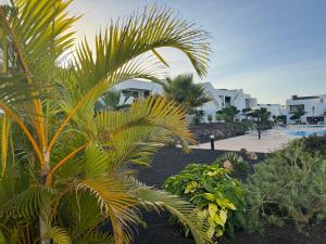 eine Gruppe von Palmen und Pflanzen in einem Hof in der Unterkunft Casa Ana - Luxury pool apartment at Casilla de Costa in Villaverde