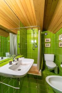 bagno verde con lavandino e servizi igienici di Chesa La Drosa - Celerina a Celerina