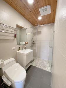 東引鄉的住宿－北澳秘山居 ，带淋浴、卫生间和盥洗盆的浴室